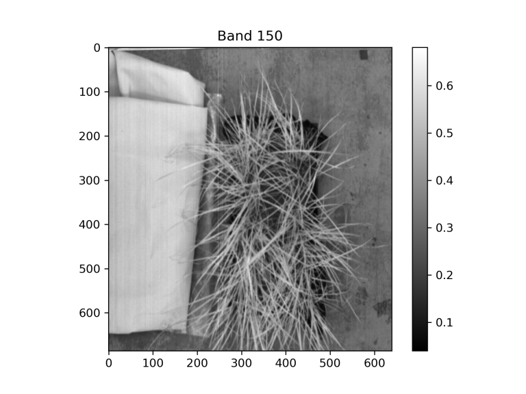 Plant-Based Contaminant Monitoring at SRNL: Implementation